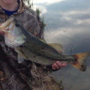 Meet your Posher, Logan